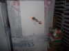 100_2494.jpg
