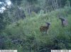 bucks 2013   3.jpg
