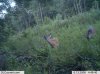 bucks 2013   1.jpg