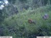 bucks 2013   2.jpg