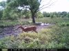 Doe (67).jpg