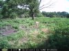 Doe (69).jpg