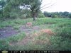 Doe (74).jpg