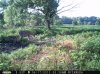 Doe (78).jpg