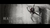 Black Widow Right Edited.jpg