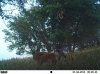 EK001361.jpg