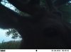 EK001133.jpg