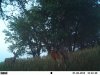 EK000986.jpg