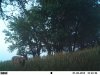 EK000987.jpg