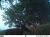 EK000988.jpg