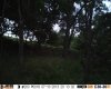 HUNT0018.jpg