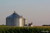 grainbin-2.jpg