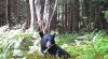 ImageUploadedByTapatalk1374200624.632477.jpg