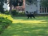 20130719_084611.jpg