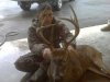 9pt.jpg