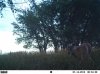EK002063.jpg