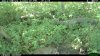 2011-08-21 13-00-17 M 1_3.jpg