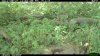 2011-08-27 12-52-38 M 1_3.jpg