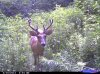CDY_0018.jpg