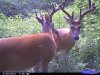 CDY_0022.jpg