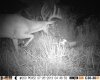 HUNT0052.jpg