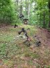 ImageUploadedByTapatalk1375105209.787998.jpg