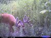 CDY_0006.jpg