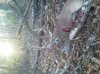 IMG952012110395081727.jpg