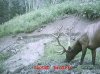 MDGC0137.jpg