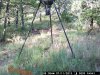 Paden Game Cams 001.jpg