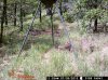 Paden Game Cams 046.jpg