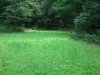 2013-07-07 12.09.02.jpg