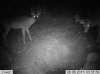 pasture stand 010.jpg