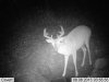 pasture stand 012.jpg