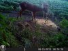 HUNT0530.jpg