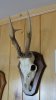 DSC03075.jpg