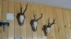 DSC03077.JPG