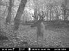 hannahs stand buck 157.jpg