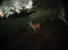 DSC00010.jpg