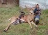 Deborah Knoff 2nd Illinois Buck 2011.jpg