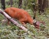 photo (25)_3.jpg