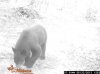 DK DEER and BEAR 2013 season76.jpg