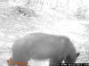 DK DEER and BEAR 2013 season199.jpg