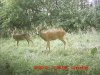 moultrie#4.2013 088.jpg