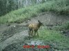 MDGC0028.jpg