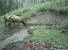 MDGC0023.jpg