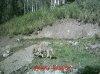 MDGC0191.jpg