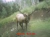 MDGC0233.jpg