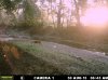 Doe (96).jpg
