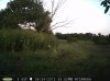 Fawn (9).jpg